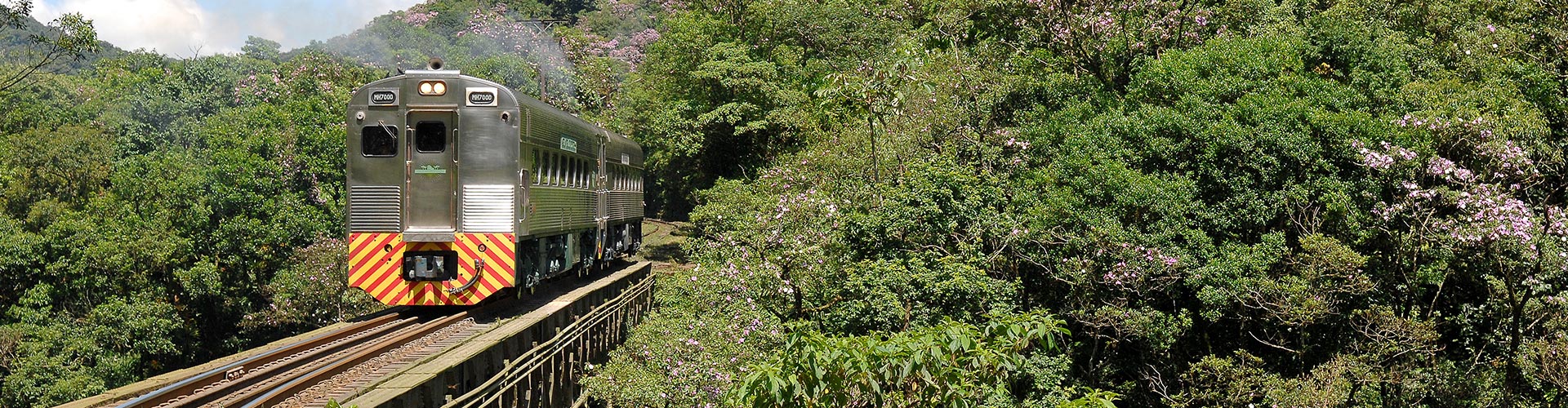Pacote Curitiba – Morretes Completo (Ida de Trem e Volta de Van)