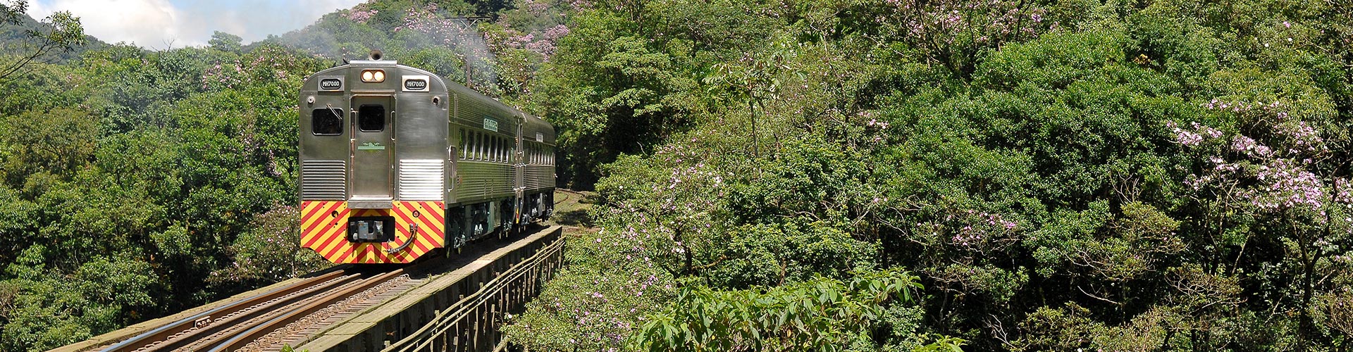 Pacote Curitiba – Morretes Completo (Ida de Trem e Volta de Van)