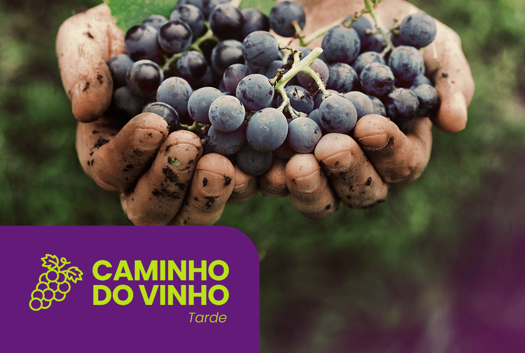 Caminho do Vinho com Café Colonial